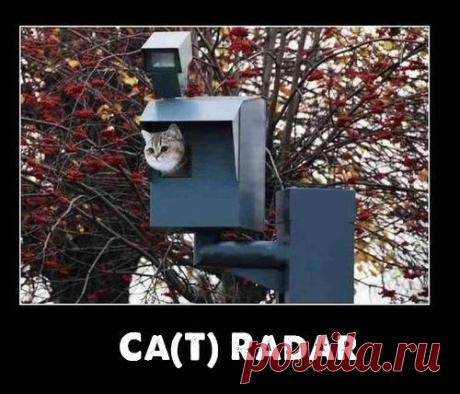 Highest Paying Media Site on the Web!