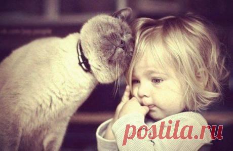 Учитесь не обижаться. Это очень сложно, но так полезно!..)