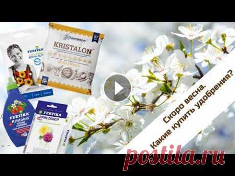 Какие удобрения купить для томатов? Какие удобрения купить для томатов?...