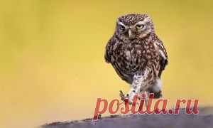 AdMe.ru - 25 фильмов с потрясающими историями о любви - karla.3@mail.ru - Почта Mail.Ru