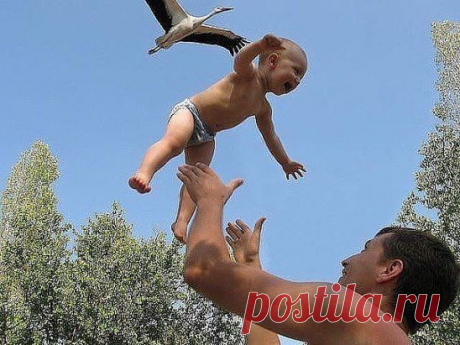 Удивительный, ловкий и редкий кадр, где ребёнка приносит аист ....