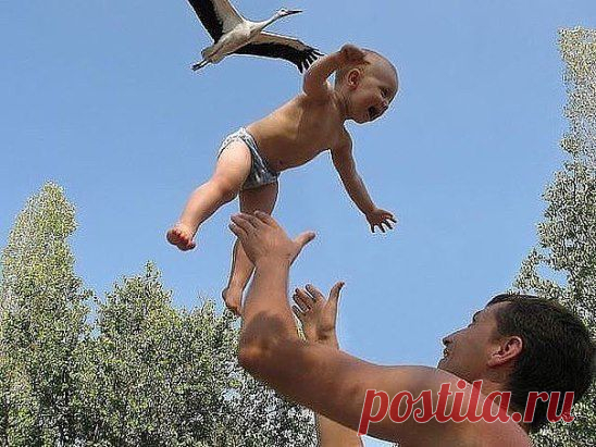 Удивительный, ловкий и редкий кадр, где ребёнка приносит аист ....