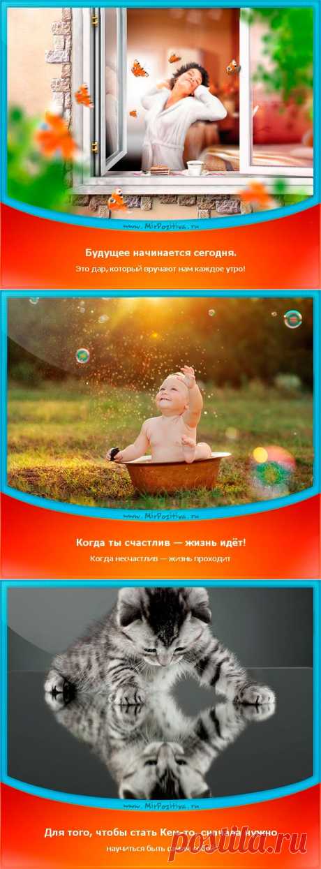 Позитивчики Недели (смотреть фото)