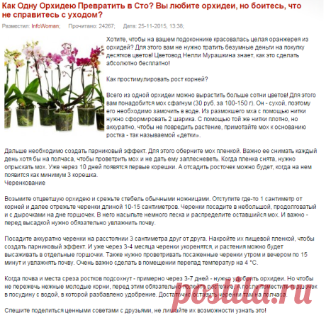 Как Одну Орхидею Превратить в Сто?
