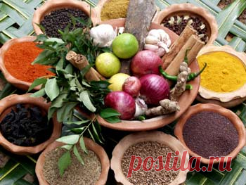 Аюрведические секреты питания-Лечение травами, рецепты народной медицины