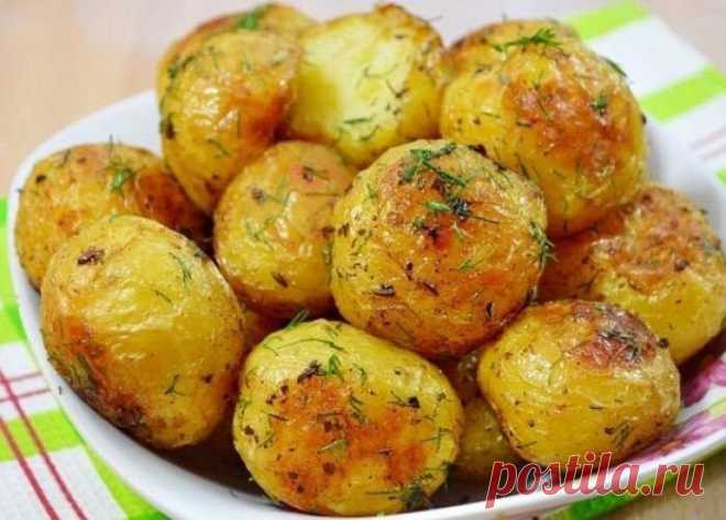 Картошка — всему голова. 6 способов сделать её вкусной, даже если готовить лень | maru oru | Дзен
