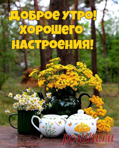Открытки "Доброго утра!" осенью (500+)