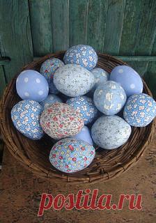 blue eggs | Flickr - Photo Sharing!