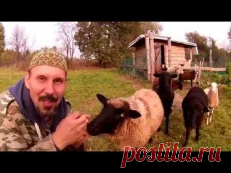 Деревенские будни \\ В деревню!