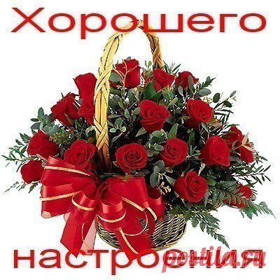 Светлана Соколовская - друзья пользователя на Мой Мир@Mail.ru