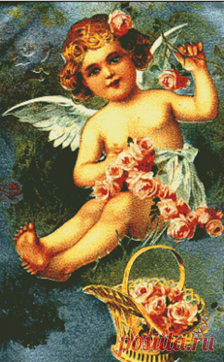 Rosette Cherub 2010