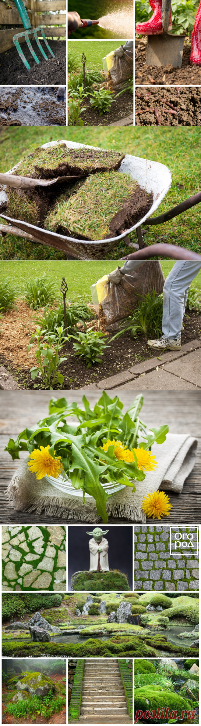 9 способов вернуть почве плодородие