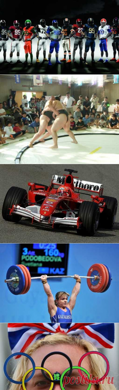 Зимнее плавание, Стрельба из лука, Хапсагай, Фитбол. (1/1) - Спортивный форум. - Спортивный сайт