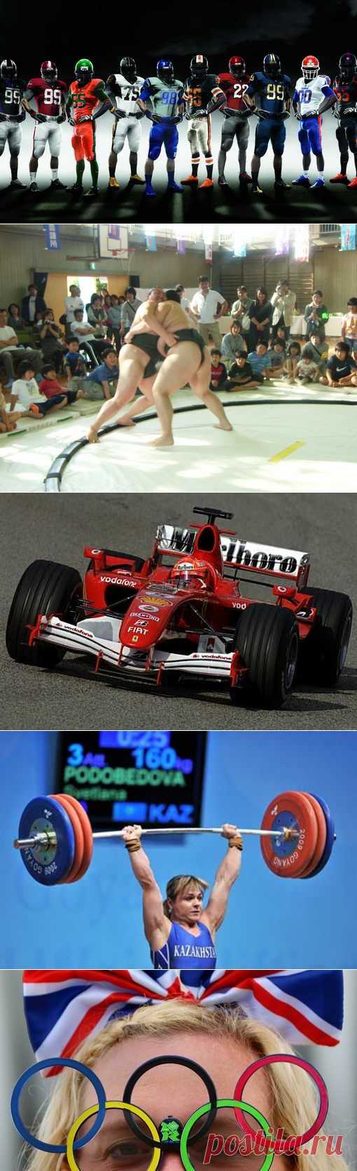 Зимнее плавание, Стрельба из лука, Хапсагай, Фитбол. (1/1) - Спортивный форум. - Спортивный сайт