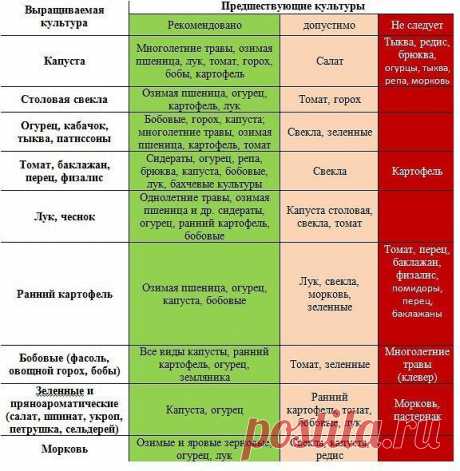 (50) Одноклассники