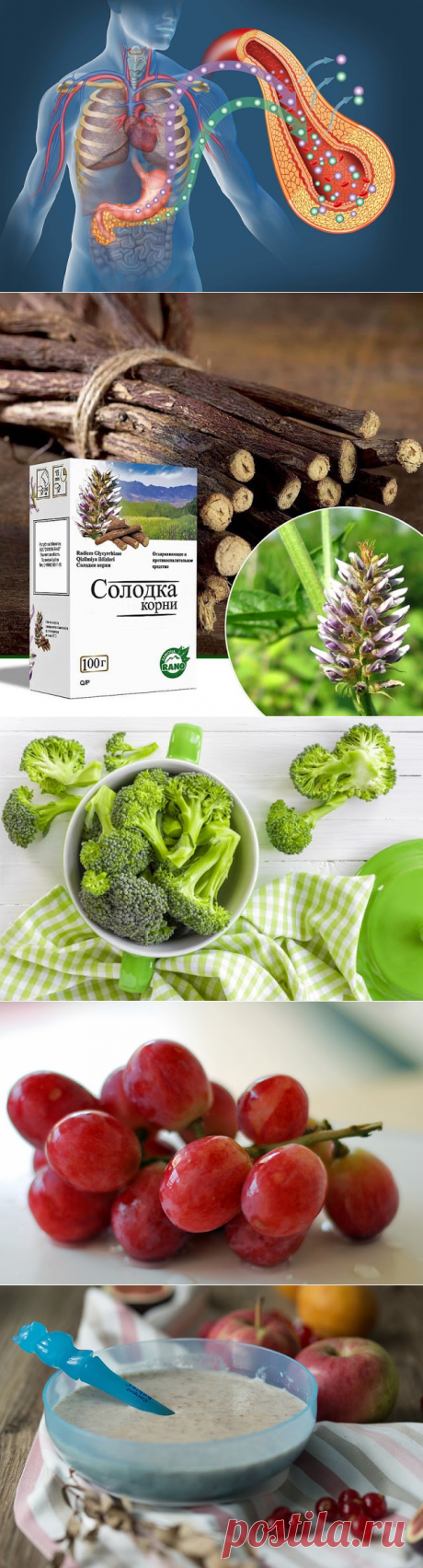 Полезные продукты для поджелудочной железы