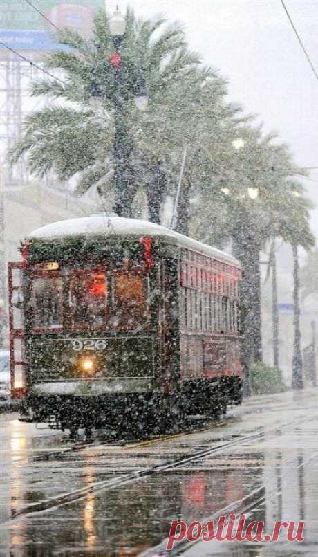 (189) An unexpected snowfall in New Orleans, Louisiana. Photo by Katford on Flickr. | Ciudades y pueblos del mundo | Новый Орлеан, Пальмовые Деревья и Сн…