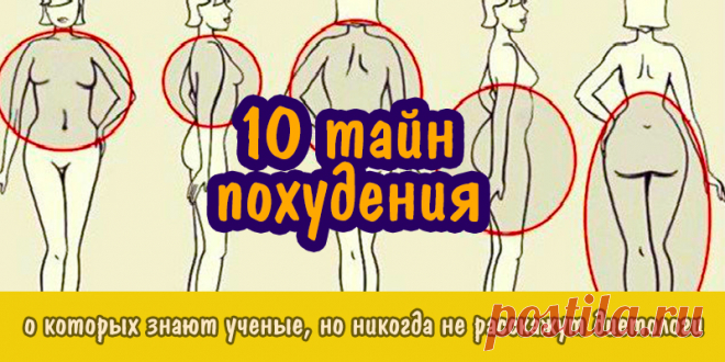 10 тайн похудения, о которых знают ученые, но никогда не расскажут диетологи | Полезные советы