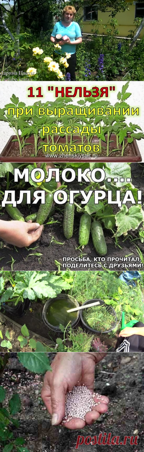 (20) Одноклассники