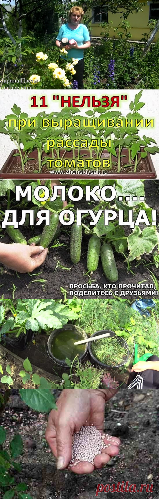 (20) Одноклассники