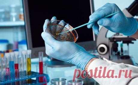 Как диагностировать наличие Хеликобактер пилори | Новый подход к контролю Хеликобактер пилори | ВитаПортал - Здоровье и Медицина