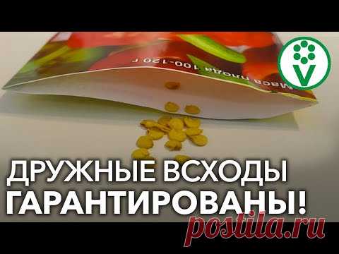 ЭТО МИГОМ ЗАСТАВИТ ПРОРАСТИ ДАЖЕ СТАРЫЕ СЕМЕНА!