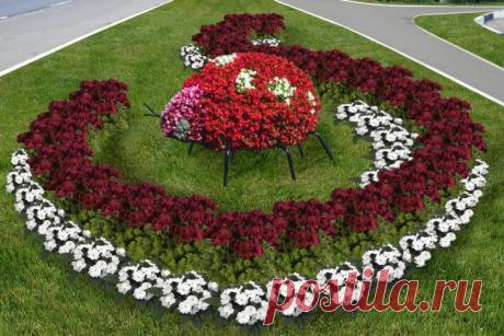 Дизайн участка своими руками