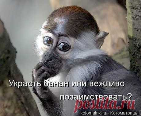 Улыбнись!