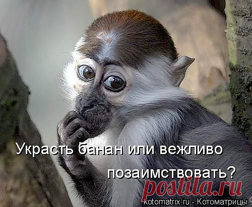 Улыбнись!