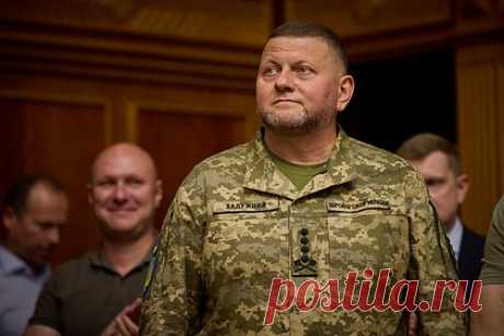 Бывший премьер Украины связал вопрос отставки Залужного с волей американцев. Вопрос отставки главнокомандующего Вооруженными силами Украины (ВСУ) Валерия Залужного зависит не от позиции Владимира Зеленского, а напрямую связан с волей США. Об этом заявил бывший премьер-министр Украины Николай Азаров. По его словам, главком раздражает украинского лидера, «но решают американцы».
