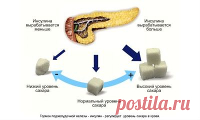 Инсулиновый индекс продуктов питания, полная таблица показателей Не только диабетикам, но и тем, кто имеет предрасположенность к этой болезни или просто пытающимся похудеть, заботящимся о своем здоровье, необходимо знать о таких понятиях, как гликемический и инсулиновый индекс продуктов. Впервые информация об инсулиновом индексе (ИИ) была представлена широким