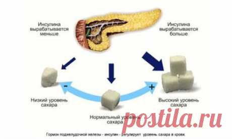 Инсулиновый индекс продуктов питания, полная таблица показателей Не только диабетикам, но и тем, кто имеет предрасположенность к этой болезни или просто пытающимся похудеть, заботящимся о своем здоровье, необходимо знать о таких понятиях, как гликемический и инсулиновый индекс продуктов. Впервые информация об инсулиновом индексе (ИИ) была представлена широким
