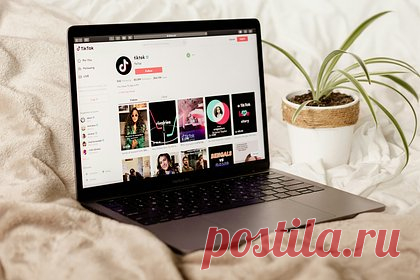 На Украине пожаловались на доминирование России в TikTok