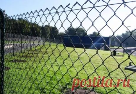 Ковка в Брянске вольеры – Google+