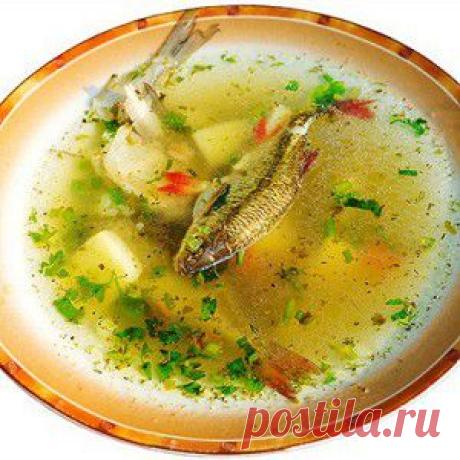 Уха из свежей речной рыбы рецепт – русская кухня: супы