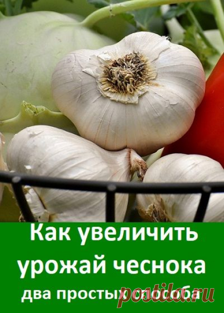 (959) Pinterest