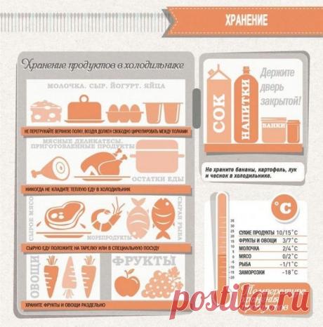 Полезная инфографика: Хозяйкам на заметку