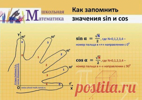 Век живи, век учись