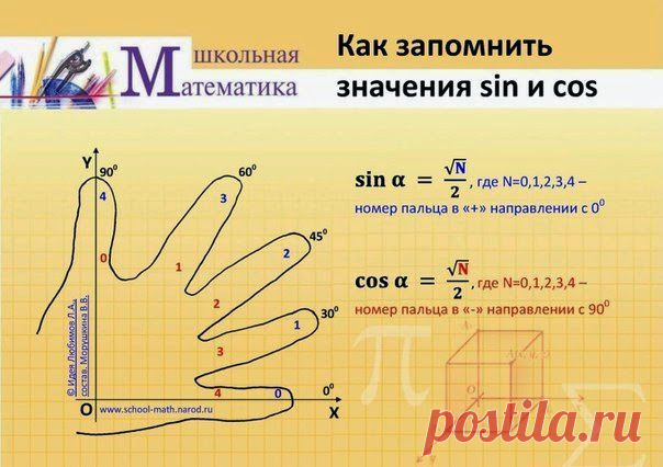 Век живи, век учись