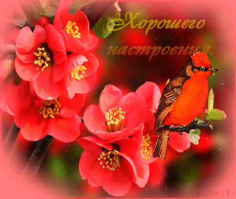 Мой Мир@Mail.Ru