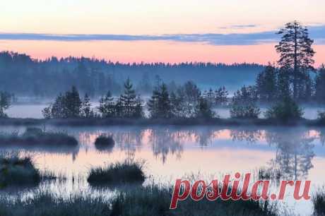 Рассвет на Лососинском озере. Автор фото — Николай Раппу, участник фотоконкурса «Незабываемая Карелия»: vk.com/album-24565142_232106582