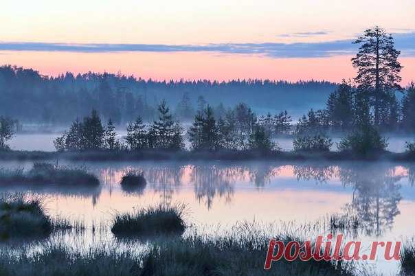 Рассвет на Лососинском озере. Автор фото — Николай Раппу, участник фотоконкурса «Незабываемая Карелия»: vk.com/album-24565142_232106582