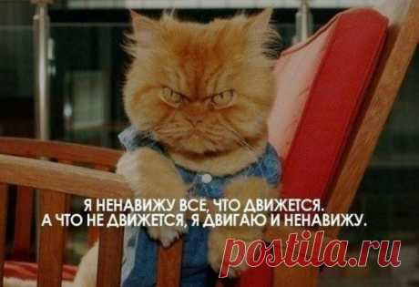 ЮМОР +