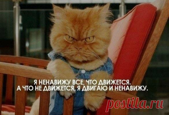ЮМОР +