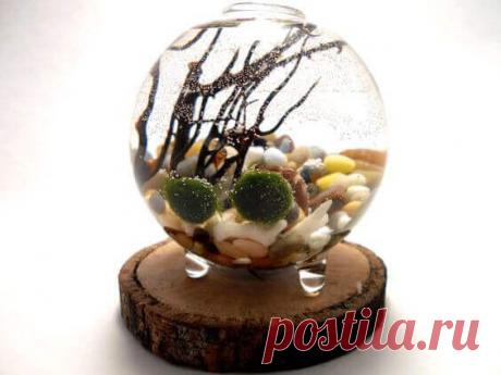 Миниатюрный аквариум как элемент декора ~ Planetalsad