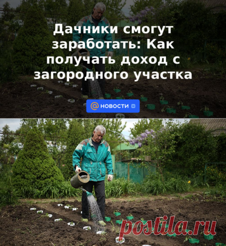 СДАЧА В АРЕНДУ-Дачники смогут заработать: Как получать доход с загородного участка | 19 мая 2023 - Новости Mail.ru