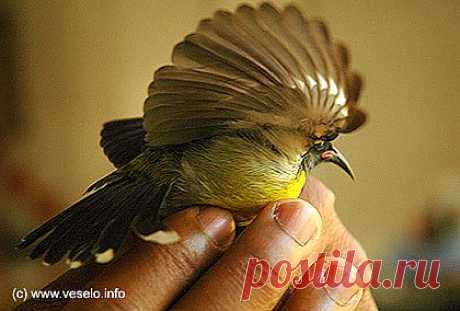 Природа.