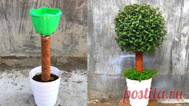 Чудесное живое деревце из самых простых материалов - Идеи для жизни - медиаплатформа МирТесен Многое из того, что окружает нас, можно использовать в качестве материала для творчества, пускай и необычного. И если подключить фантазию, можно получить очень интересный и неожиданный результат. Например, можно ли превратить траву в дерево? Конечно, да, если подойти к этой задаче творчески. Только