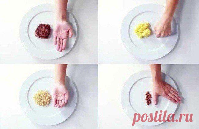 КАК ОПРЕДЕЛИТЬ ПРАВИЛЬНЫЙ РАЗМЕР ПОРЦИИ ЕДЫ ПРИ ПОМОЩИ РУК "ПРАВИЛА РУК "?