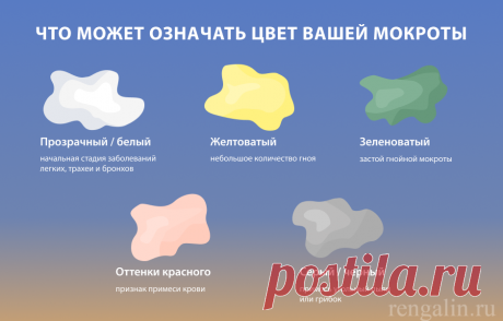 Мокрота: из-за чего появляется кашель с мокротой у взрослого и ребенка, какая бывает и что означает цвет мокроты